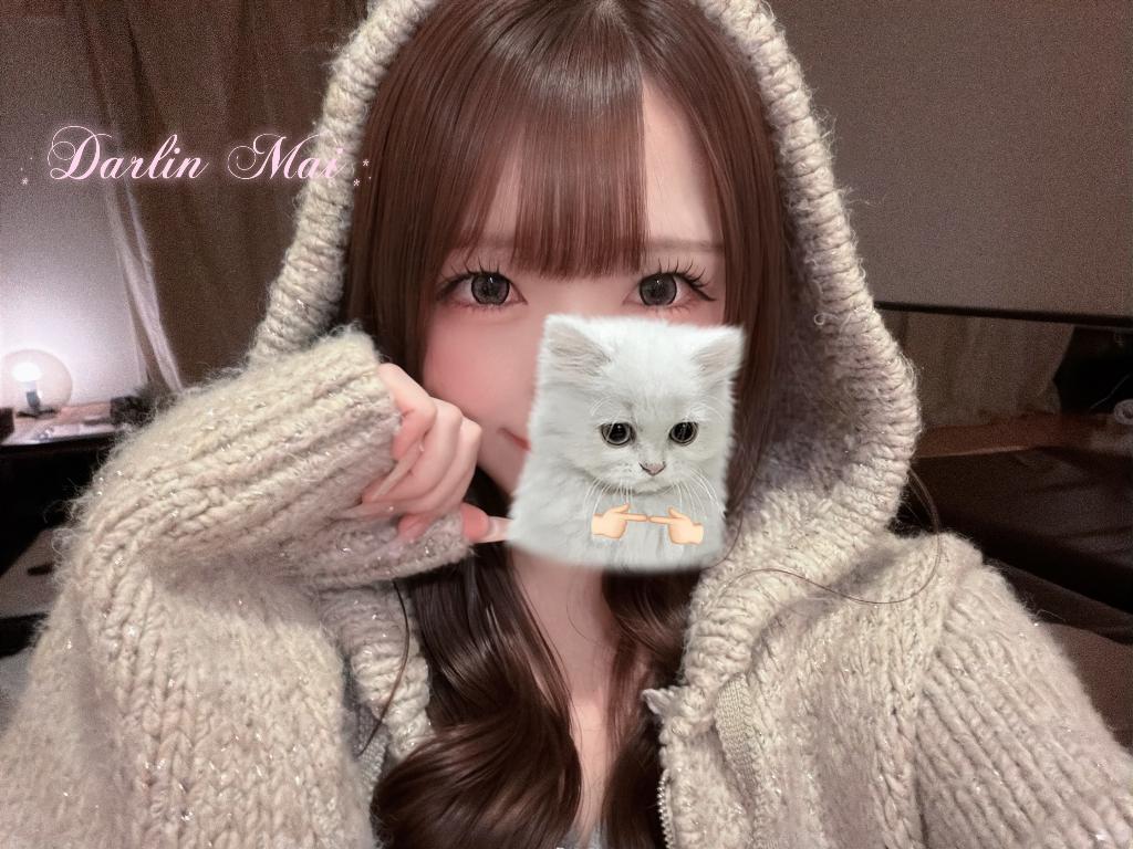 朝比奈まい